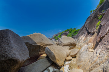 Similan Islands Beautiful tropical sandy beach and lush green foliage on a tropical island ,thailand
