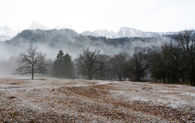 winter forest and mountain landscape in bad weather with fog and rime on the ground