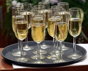 Champagne glassess
