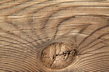 wood texture