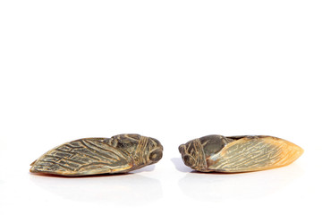 Ox horn sculptures works