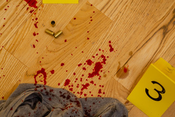 Bullets, bloody clothes and gun at crime scene
