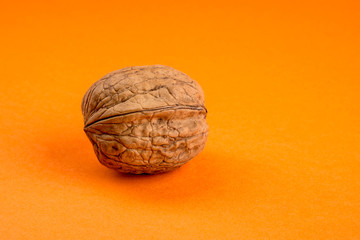 Walnut isolated on Orange background