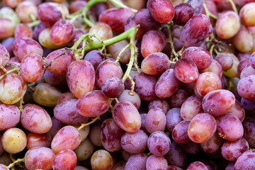 bunch of red grapes