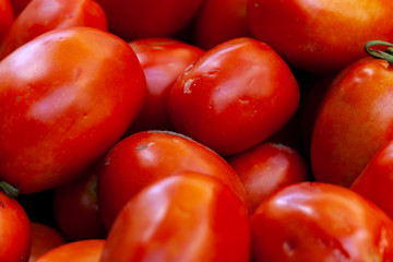 tomatoes on the market
