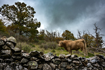 Paisajes de granada,naturaleza.