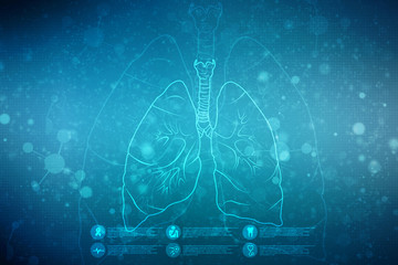 Healthy Human Lungs 2d illustration
