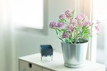 Fototapeta na wymiar Small plant for decorate room. Interiors concept.