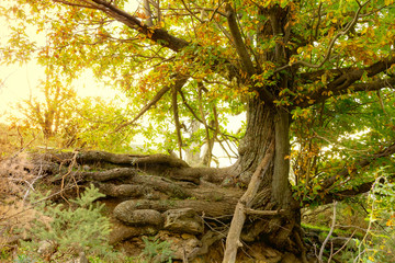 Paisajes de granada,naturaleza.