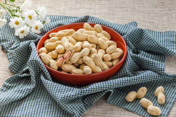 Peanuts in the peel on a beautiful red dish