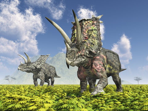 Dinosaurier Pentaceratops in einer Landschaft