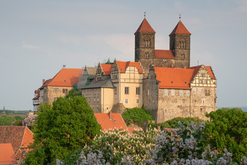 Fototapeta na wymiar Quedlinburg, Germany, Europe