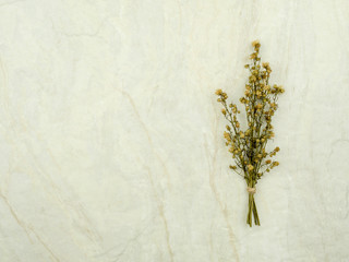 Top view bouquet of dried and wilted green Gypsophila flowers on matt marble background with copy space