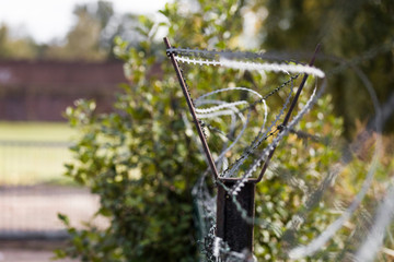 Barbed wire fence protecting a site from anyone trying to get in for a reason they shouldn't.