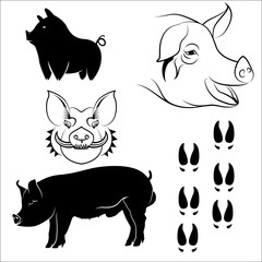 pigs vector