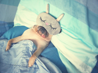 Cute pug dog sleep rest with the funny mask in the bed, wrap with blanket and tongue sticking out...
