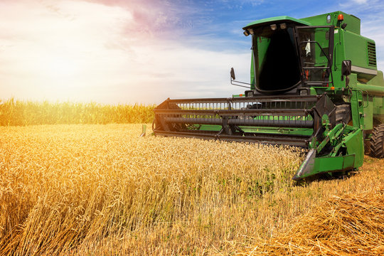 Harvesting wheat harvester on a sunny summer day - Powered by Adobe