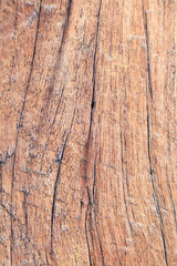 silkwood texture