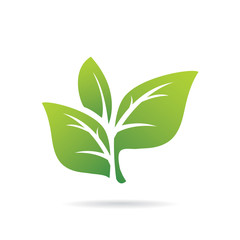 Eco green leaf icon sign logo