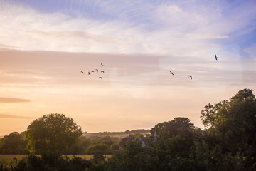 Sunset in Dorset