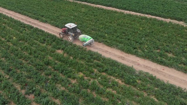 agriculture, feeding. tractor spraying fertilizer in the field of peppers