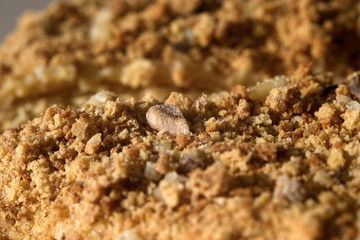 Sweet tasty cake sprinkled with nuts. Shallow depth of field