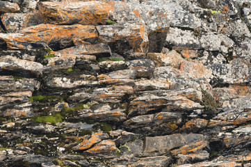 Textured basalt background thin stone fibers in the cut. natural volcanic formations