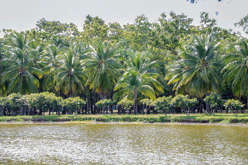 sukhothai