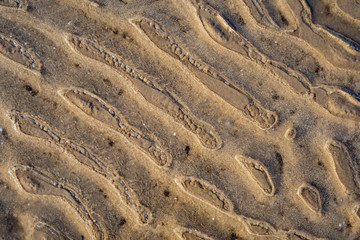 sand pattern texture on the beach