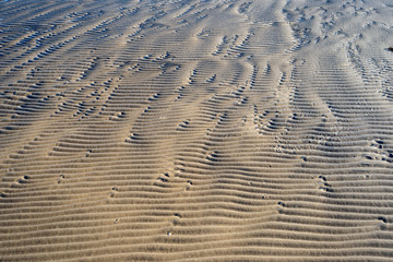 sand pattern texture on the beach