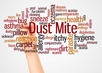 Dust mite word cloud and hand with marker concept