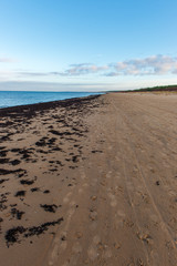 sand pattern texture on the beach