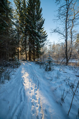 Obraz premium snow covered winter road with tire tracks