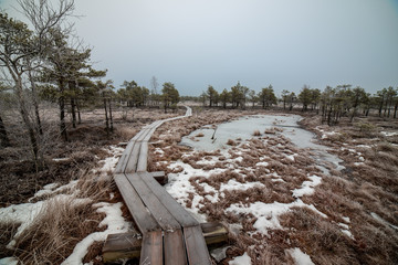 Obraz premium nature trail in swamp in deep snow in winter
