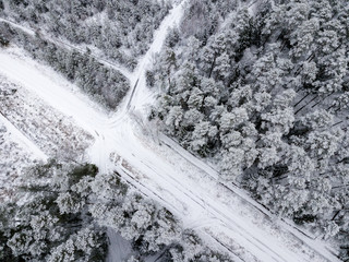 drone image. aerial view of forest area in winter with snowy trees