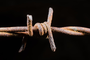 rostiger Stacheldraht (makro, low key)
