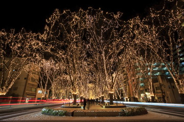 Winter events in Sendai light pageant