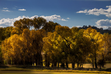 Fototapeta premium Panorami del Colorado (USA)