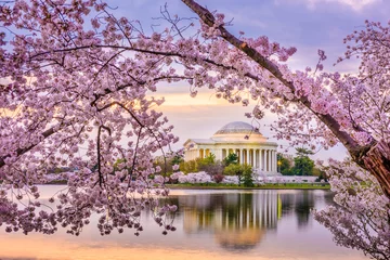 Fotobehang Washington DC, USA at the Jefferson Memorial © SeanPavonePhoto
