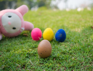 Egg on blur color eggs and blur rabbit toy background,