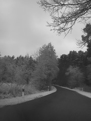 Snow road 2