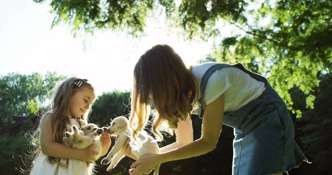 Caucasian happy mother and little daughter spanding time in park in summer and holding labrador puppies in sunlight. Outdoor.