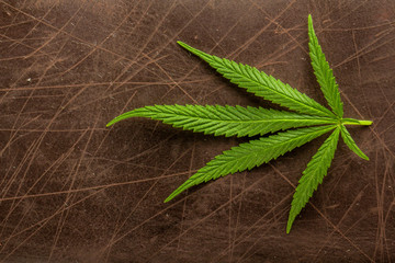 A hemp sheet on a white background