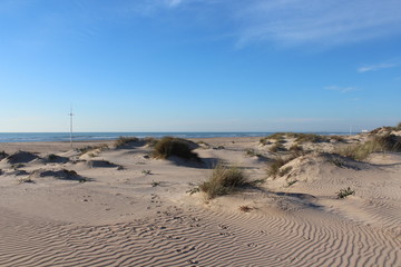 beach in cadiz, spain