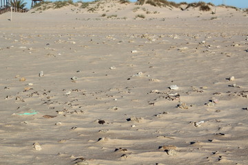 sand beach texture landscape