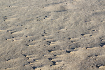 sand beach texture landscape
