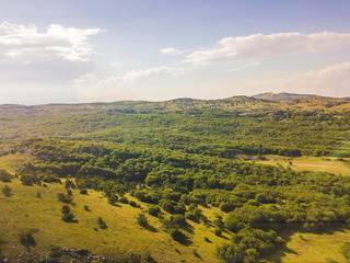 beautiful panorama aerial view of high mountains covered with green summer forest b
