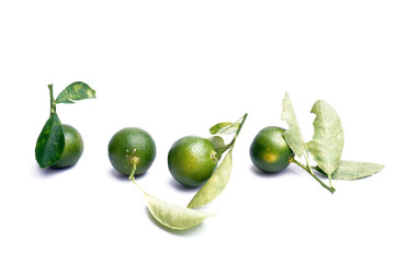 Fresh calamondin fruit on white background