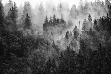 Foto auf Glas Nebelhafte Berglandschaft © Roxana