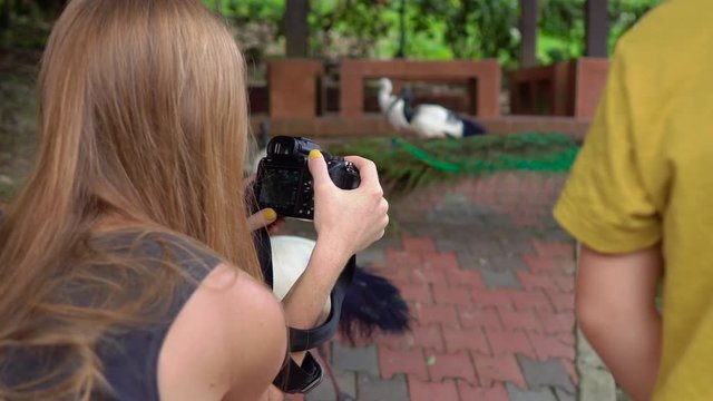 Steadicam shot of a young woman and her little son visiting a bird park. Woman takes pictures of birds